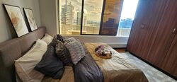 International Plaza (D2), Apartment #598299451